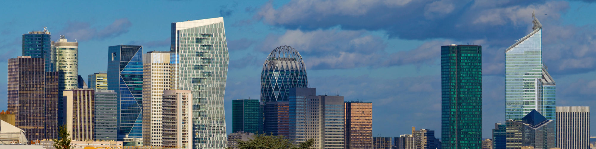 conseil en droit informatique